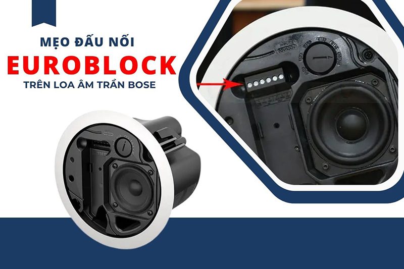 Hướng dẫn đấu nối loa âm trần Bose dùng kết nối Euroblock
