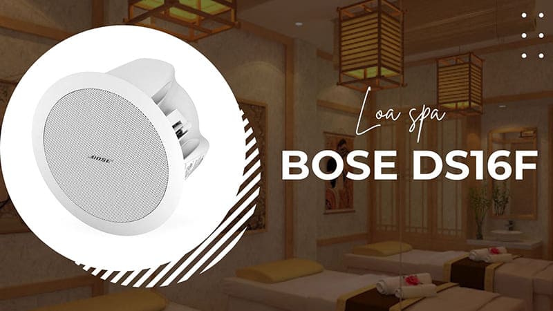 Tổng hợp các mẫu LOA SPA chất lượng tốt nhất hiện nay nên mua