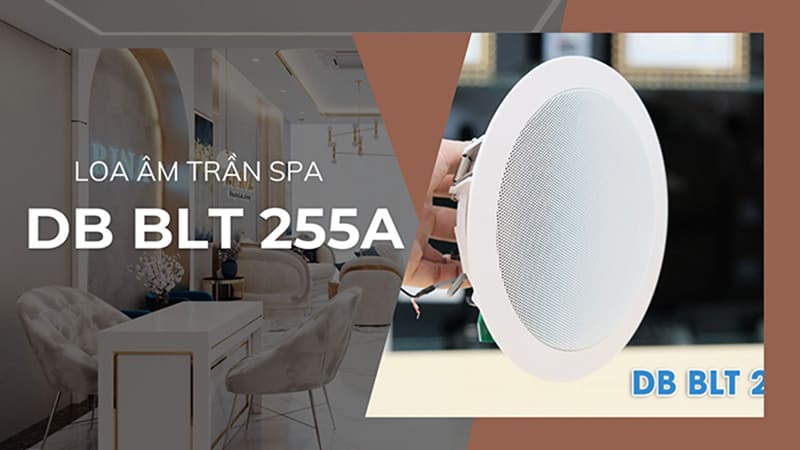 Tổng hợp các mẫu LOA SPA chất lượng tốt nhất hiện nay nên mua