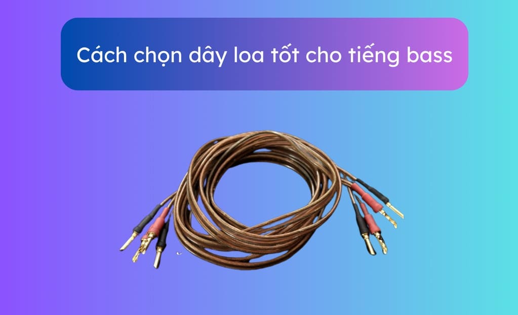 Chọn dây loa nào cho tiếng bass tốt nhất?