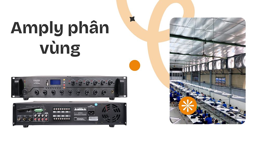 Amply phân vùng