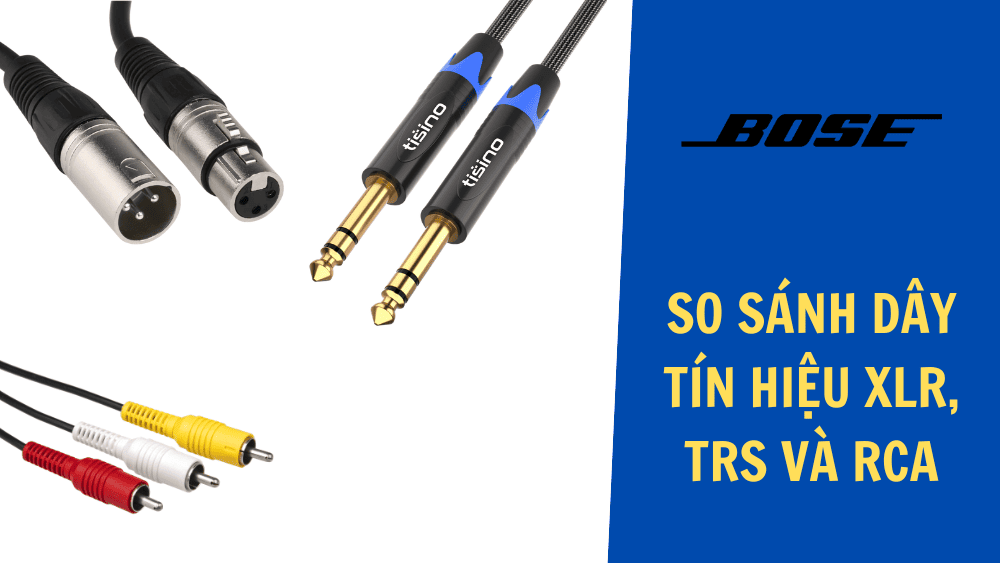 So sánh dây tín hiệu XLR, TRS và RCA: Loại nào dùng cho hội trường? So sánh dây tín hiệu XLR, TRS và RCA: Loại nào dùng cho hội trường?